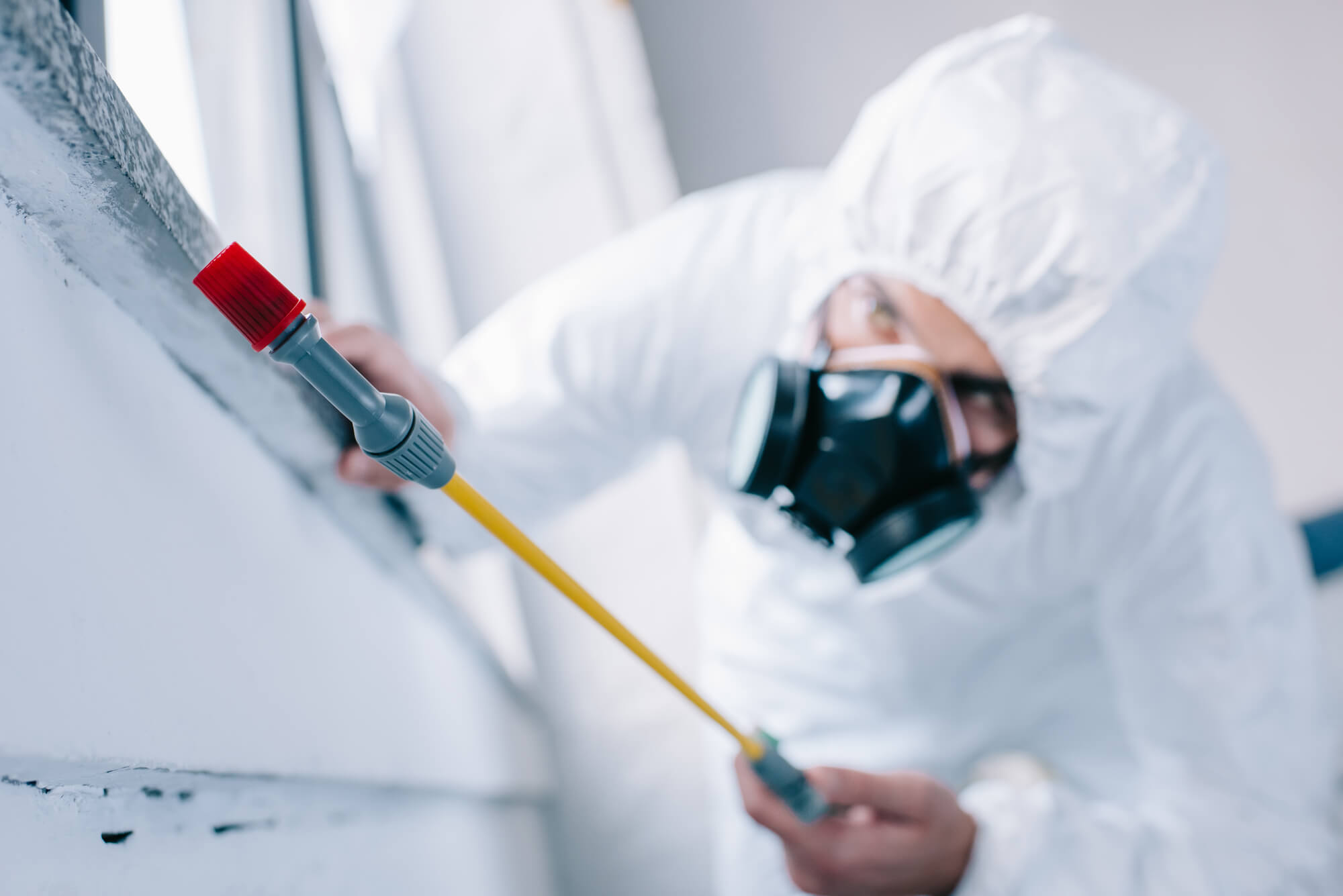 Professional Pest Control