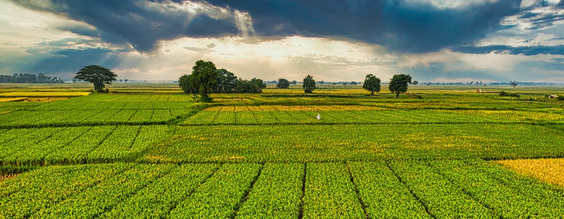 the agricultural significance of pest control in the uk